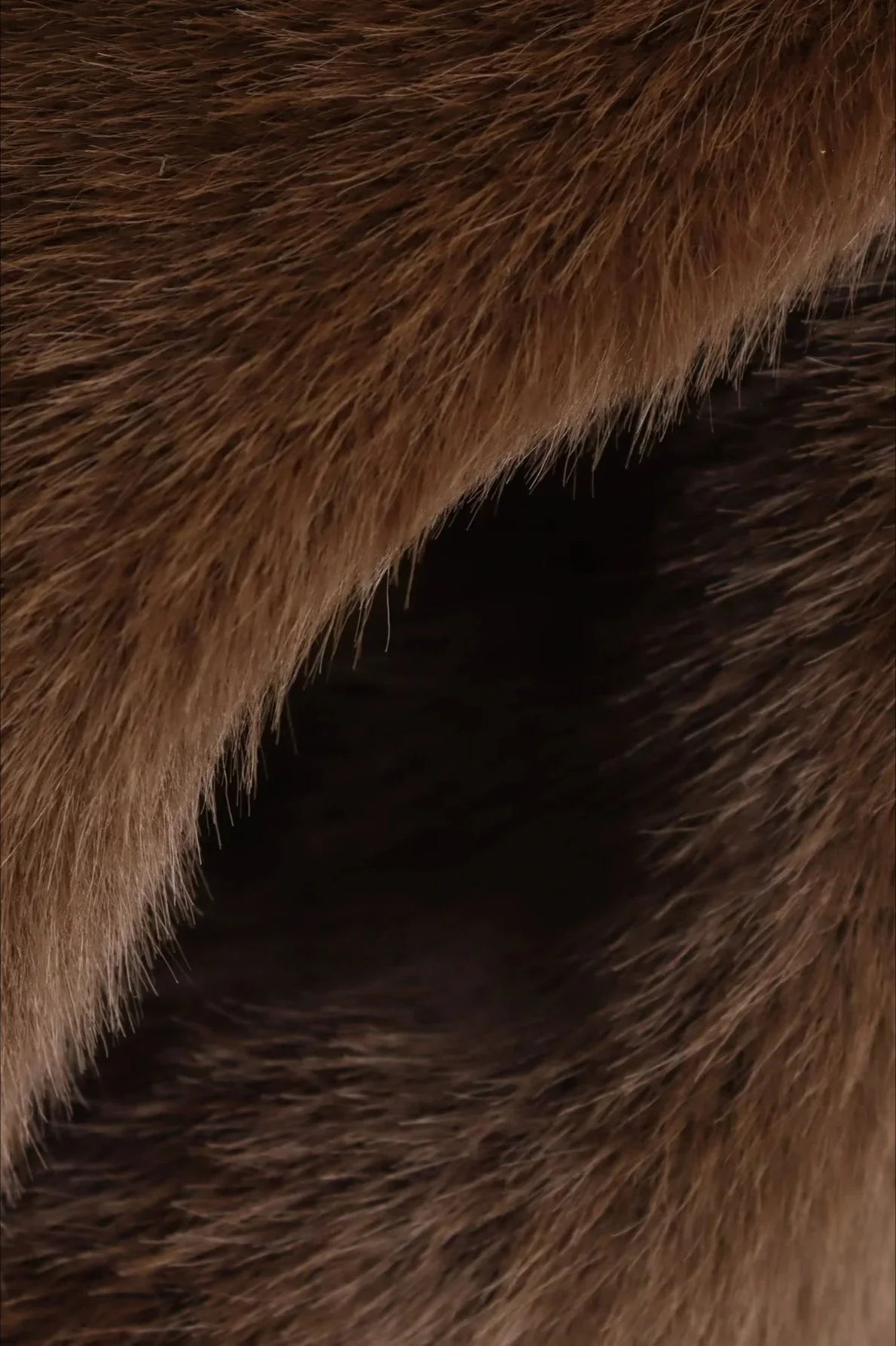 Abby Short Faux Fur Collared Coat - Image 8